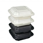 Disposable Food Container