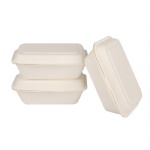 Disposable Food Container