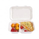 Disposable Food Container