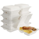 Disposable Food Container