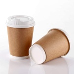 Biodegradable Paper Cup