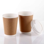 Biodegradable Paper Cup