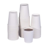 Biodegradable Paper Cup